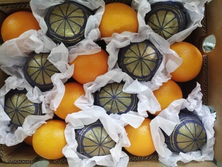 Egyptian oranges