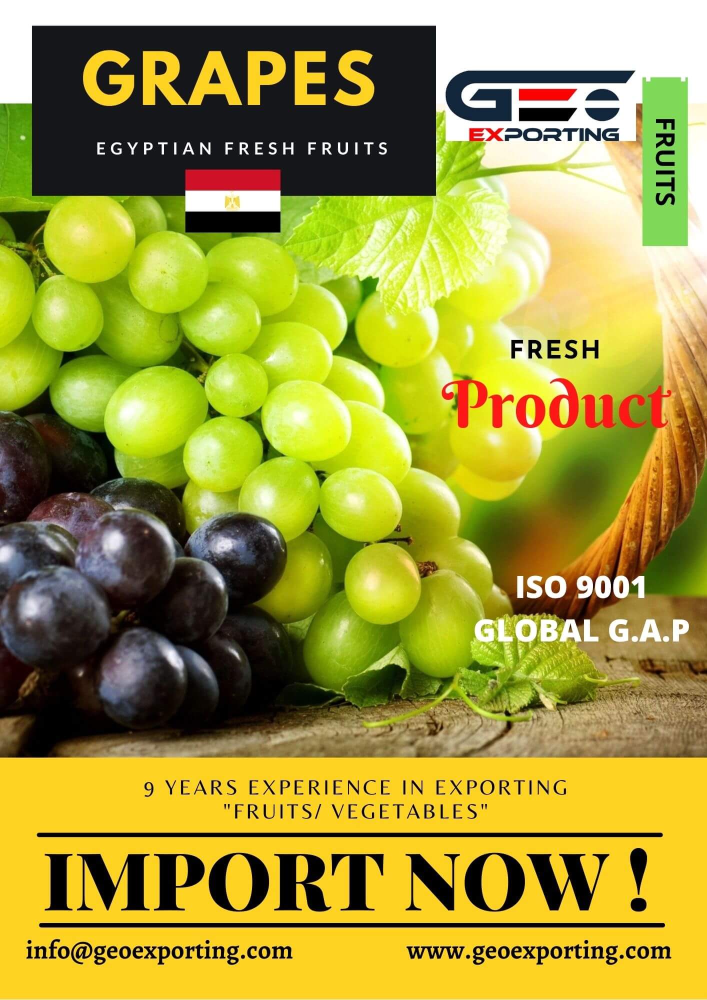 Export Fruits Why to import fruits from Egypt.