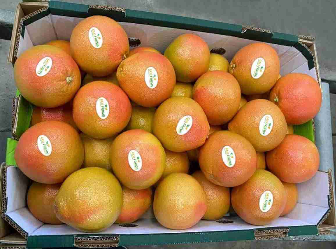 Grapefruit GEO FARMS5 (1)