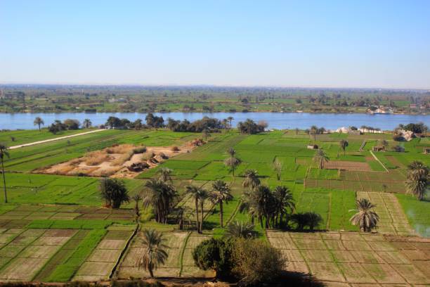 A green farm with trees and palms and hay suited by the Nile river in Egypt