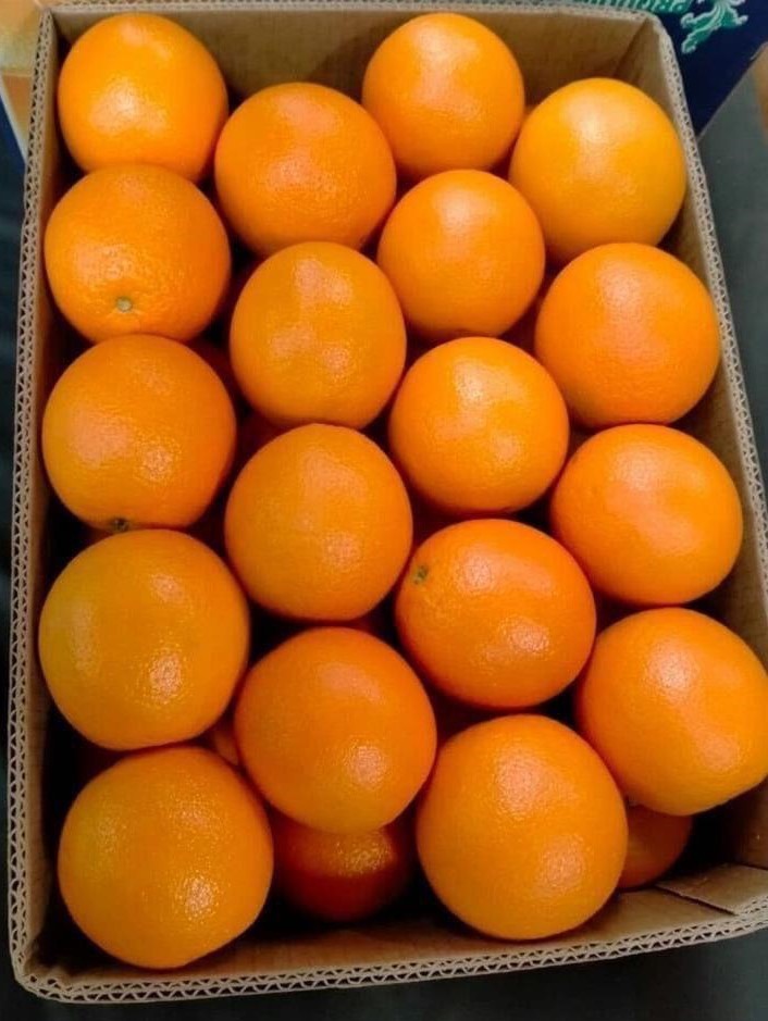 Egyptian oranges