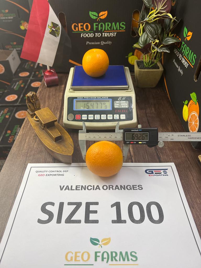 Import Egyptian Orange Valencia