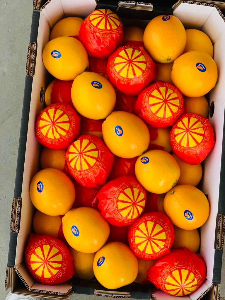 GEO Exporting for Oranges