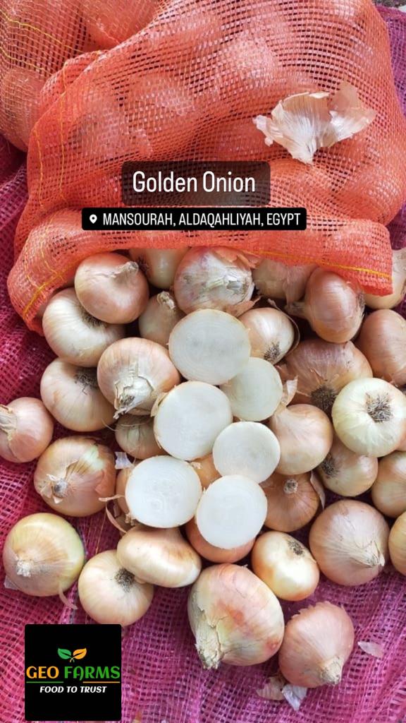 Egyptian Golden Onions