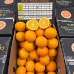 Valencia Orange from Egypt Top producer Global GAP