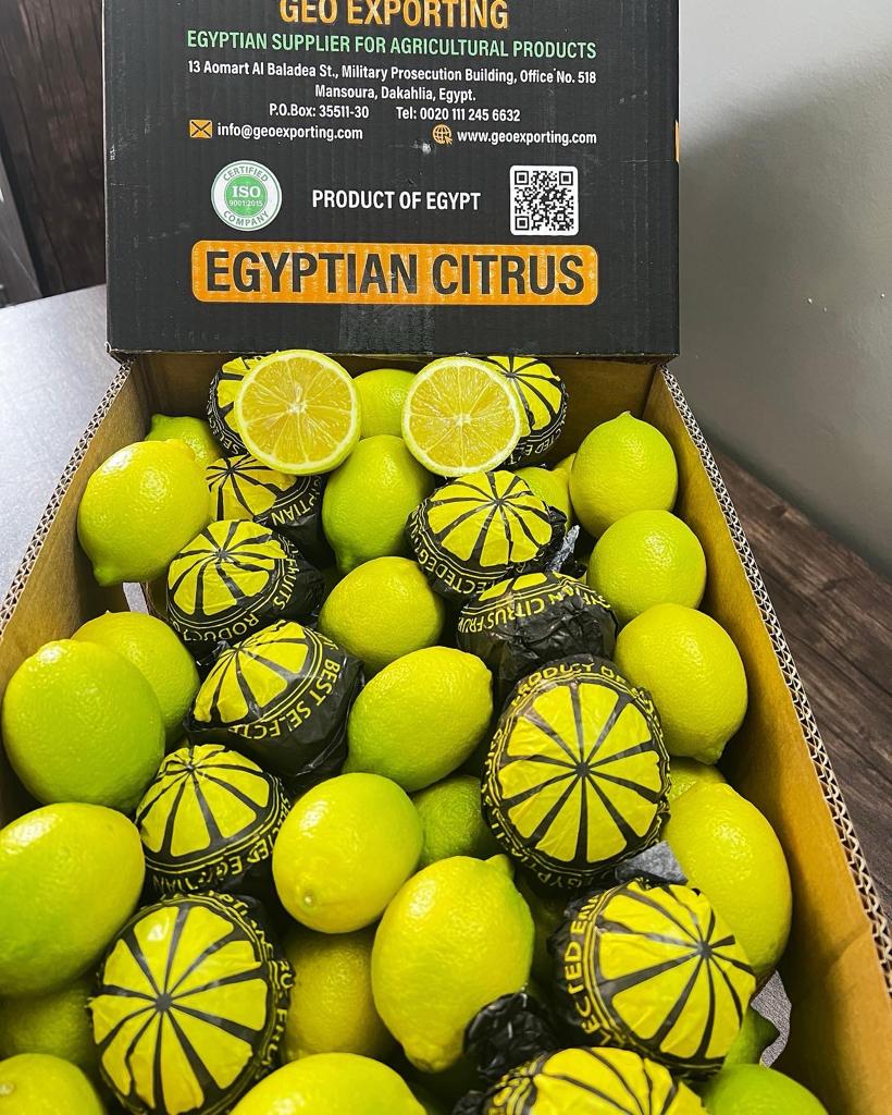 Top Lemon Producer in Egypt