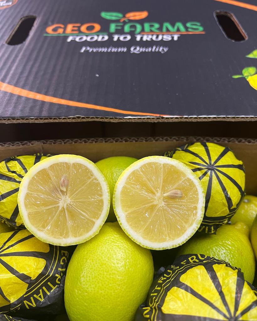Egyptian Lemon Carton Quality from GEO FARMS
