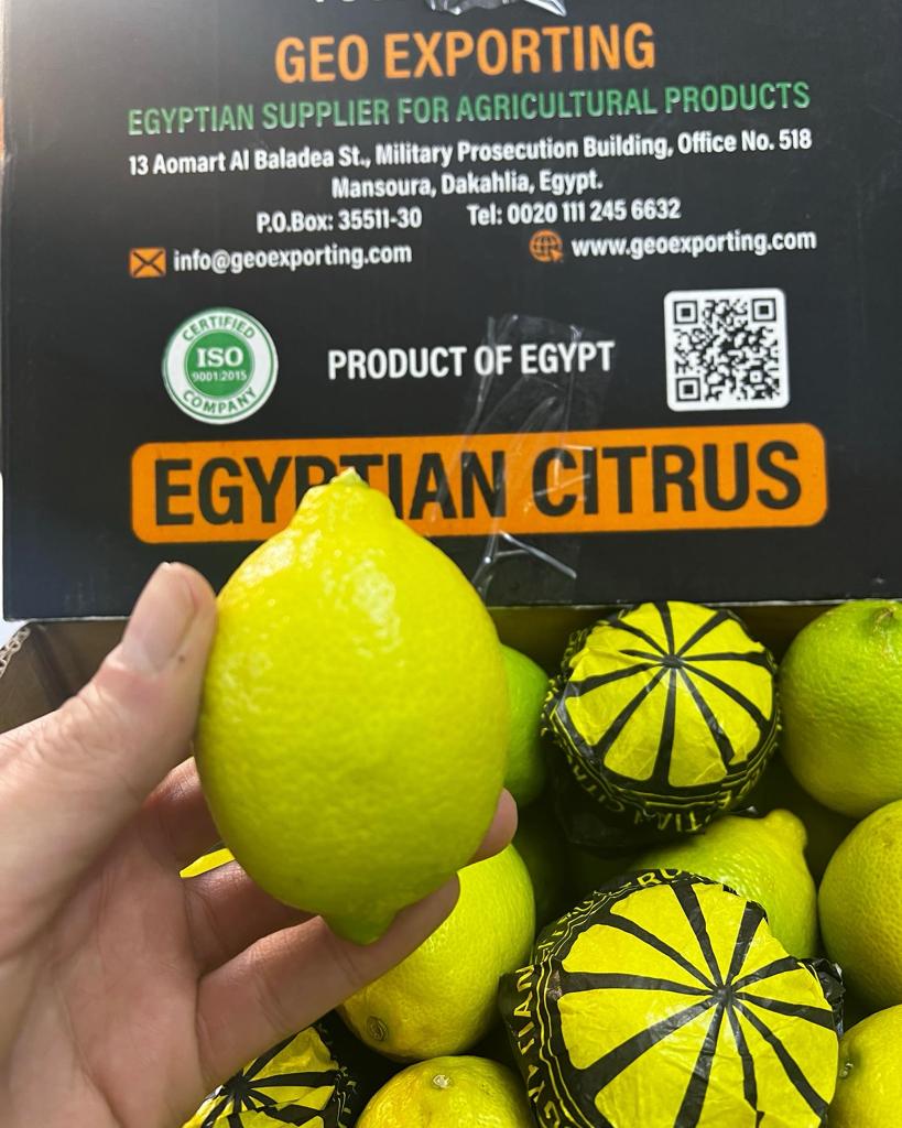 Juicy Adalia Lemon from Egypt GEO EXPORTING