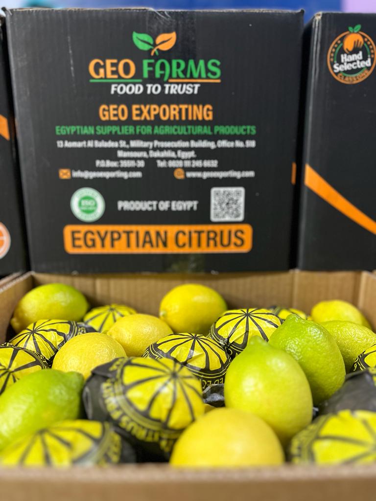 Producteur égyptien de citron