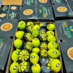 GEO Exporting Egyptian Adalia Lemon