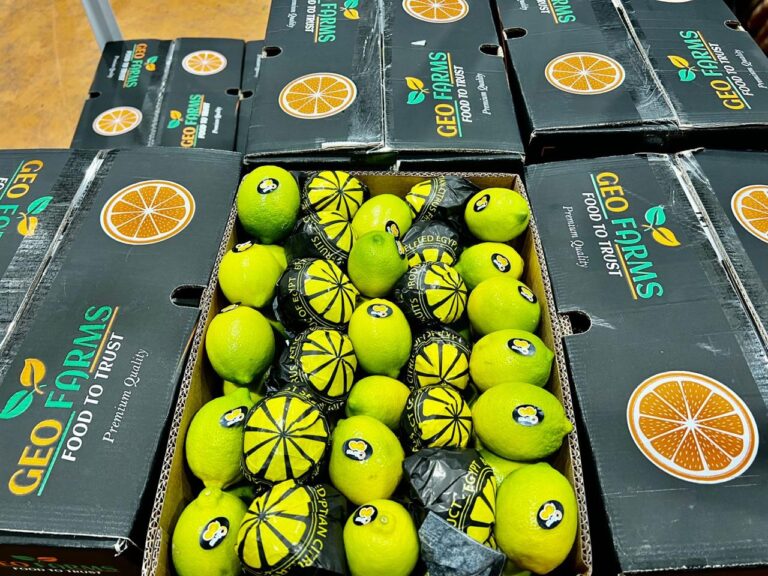 GEO Exporting Egyptian Adalia Lemon