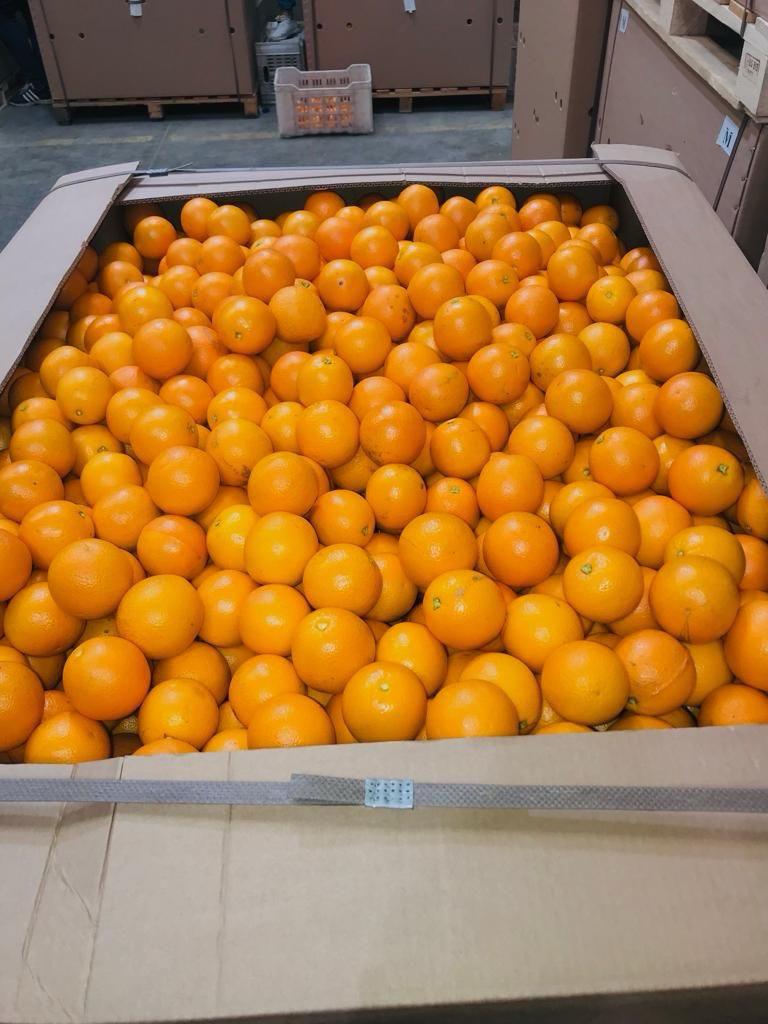 Valencia Orange Bins