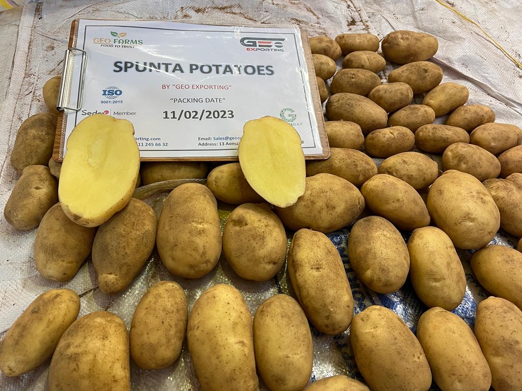 Packing Egyptian Potatoes