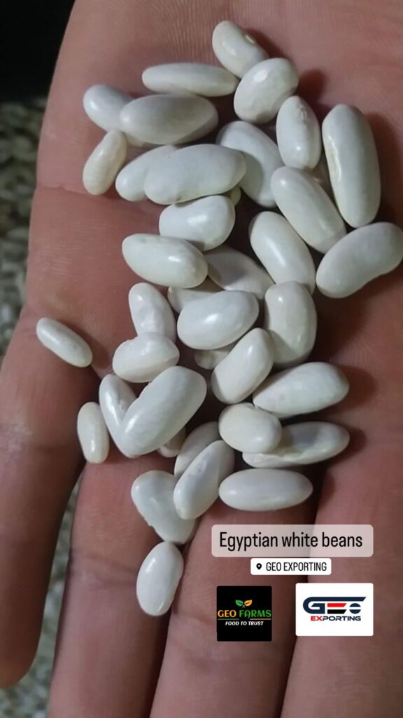 GEO FARMS White beans 