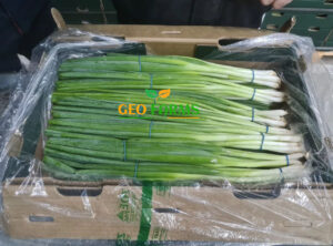 Fresh onion top exporter in egypt