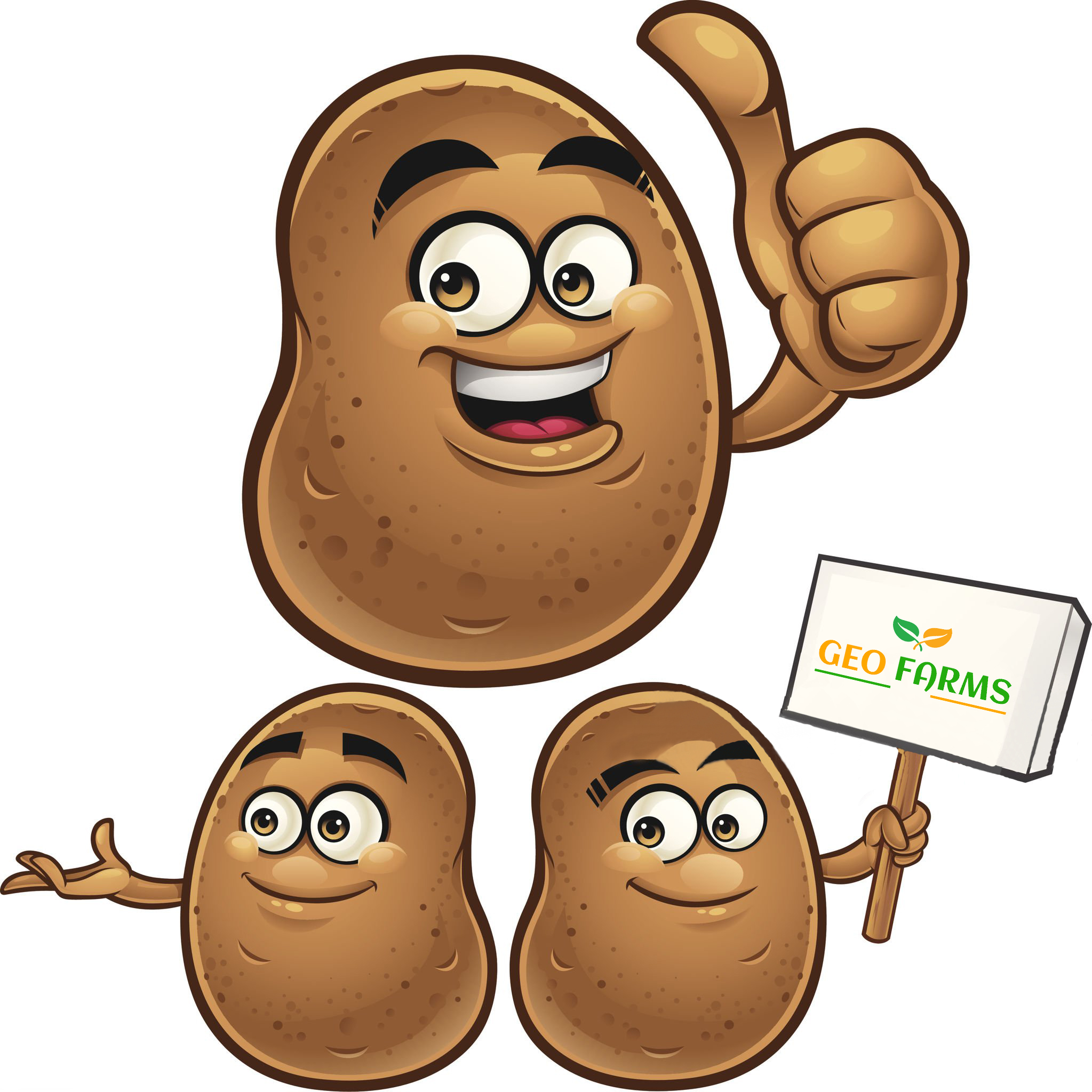 GEO FARMS Potato
