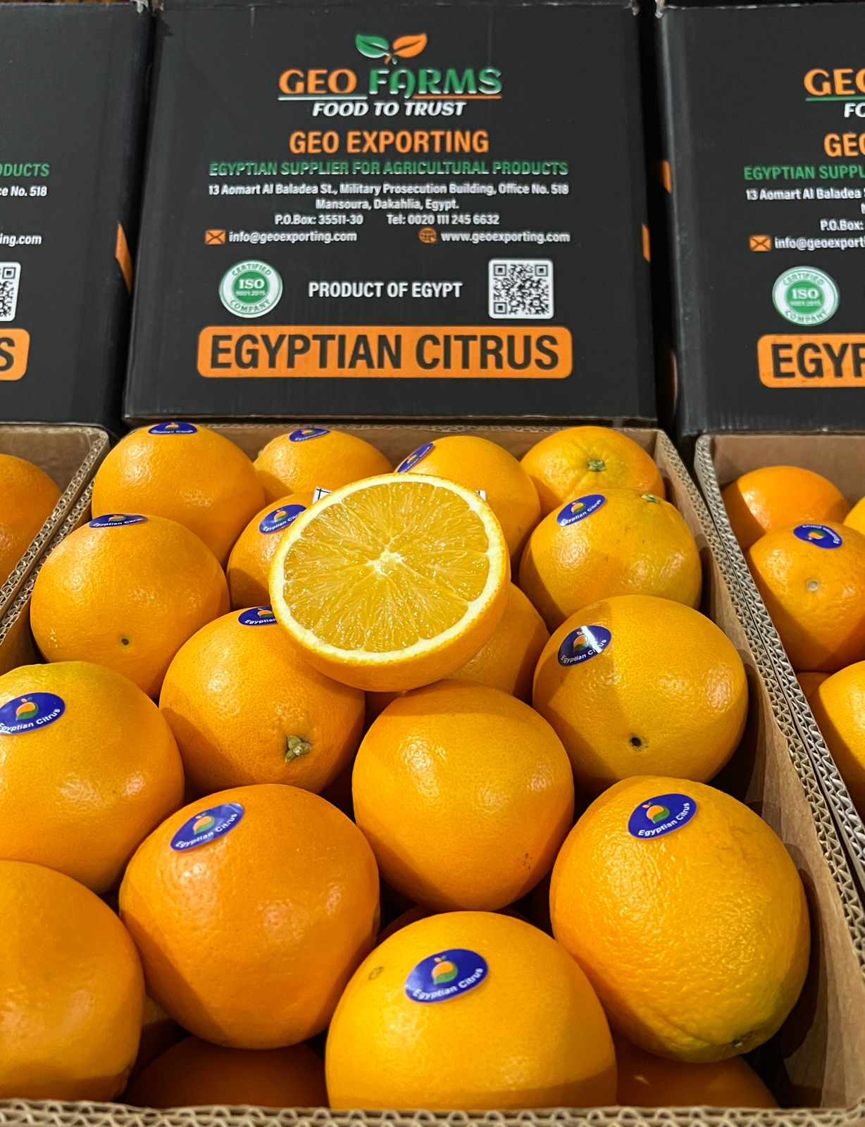 برتقال مصري ابوسرة