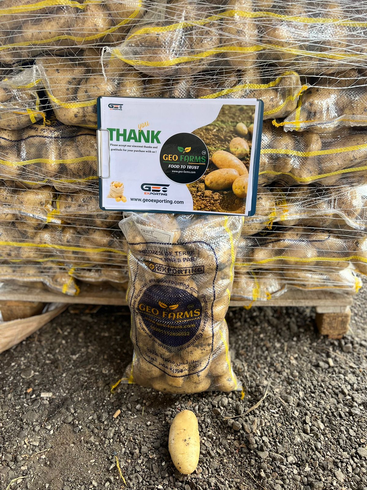 geo farms brand for egyptian potatoes