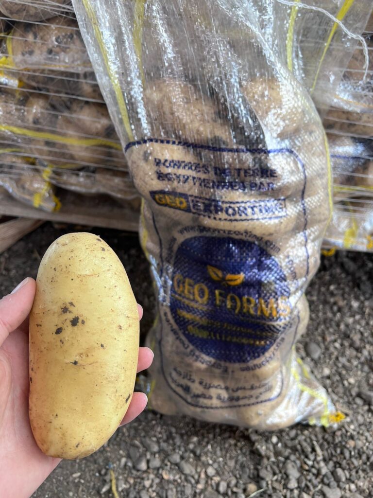 Egyptian Potatoes