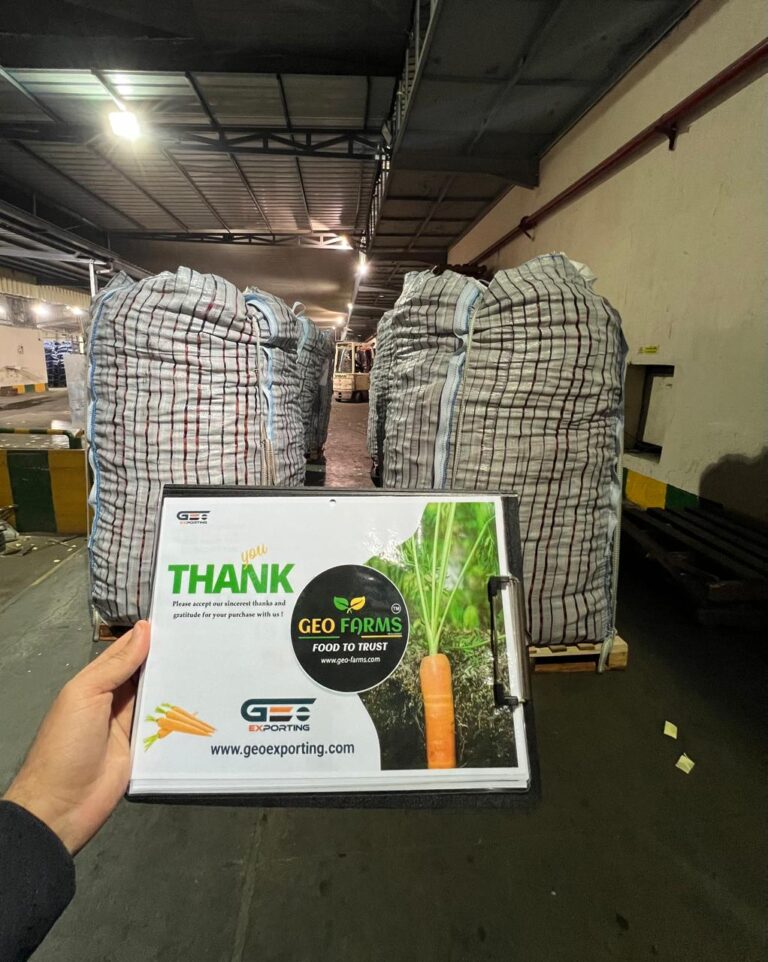 Jumbo Bags of Carrots from GEO FARMS egypt