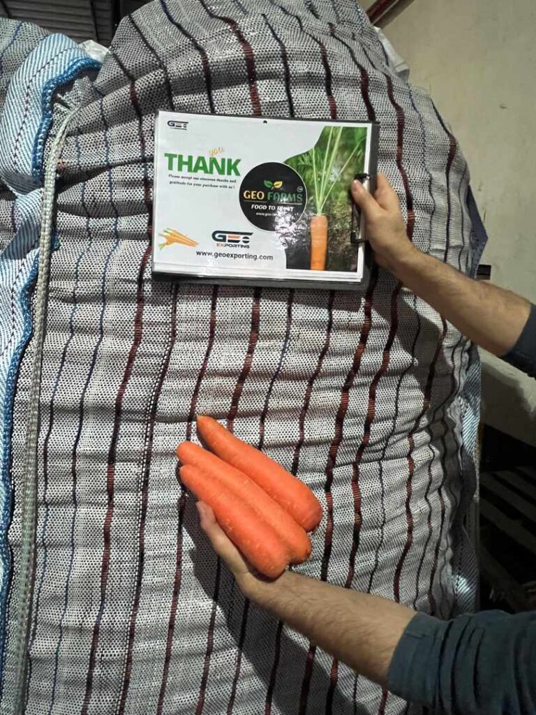 Jumbo Bags of Carrots from GEO FARMS egypt