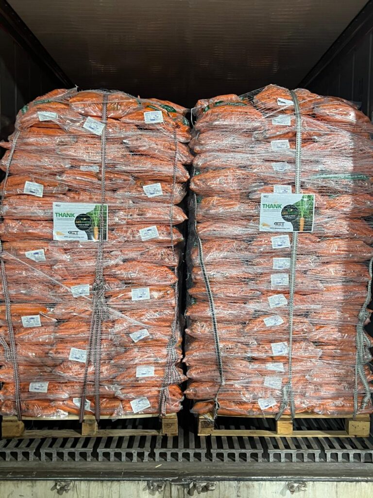 Top Carrots Exporter in Egypt