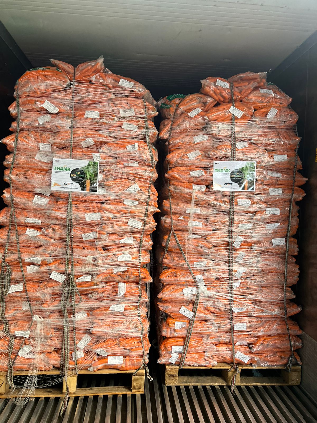 Import egyptian carrots from GEO FARMS
