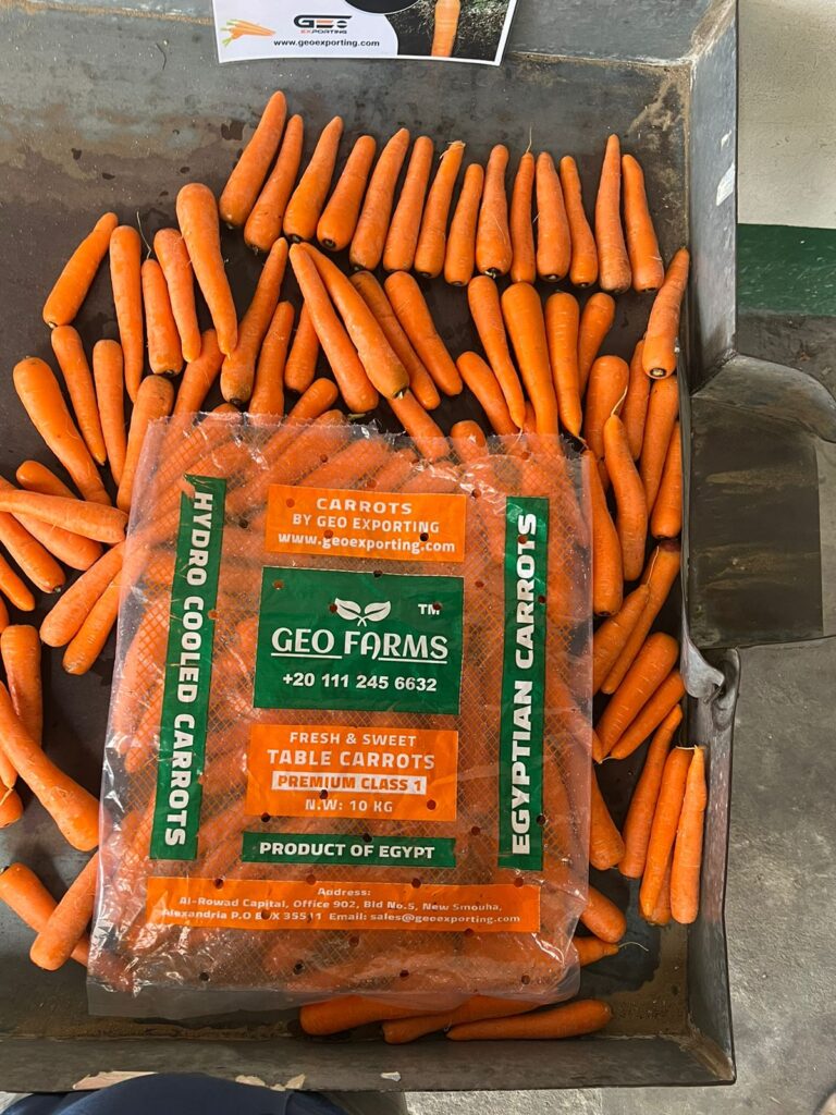 HydroCooled Carrots from Egypt