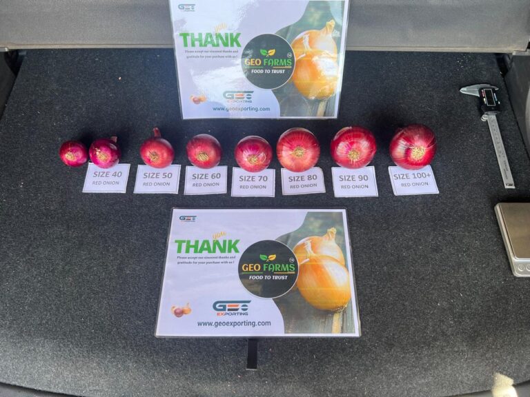 Grower and exporter of red onions from egypt