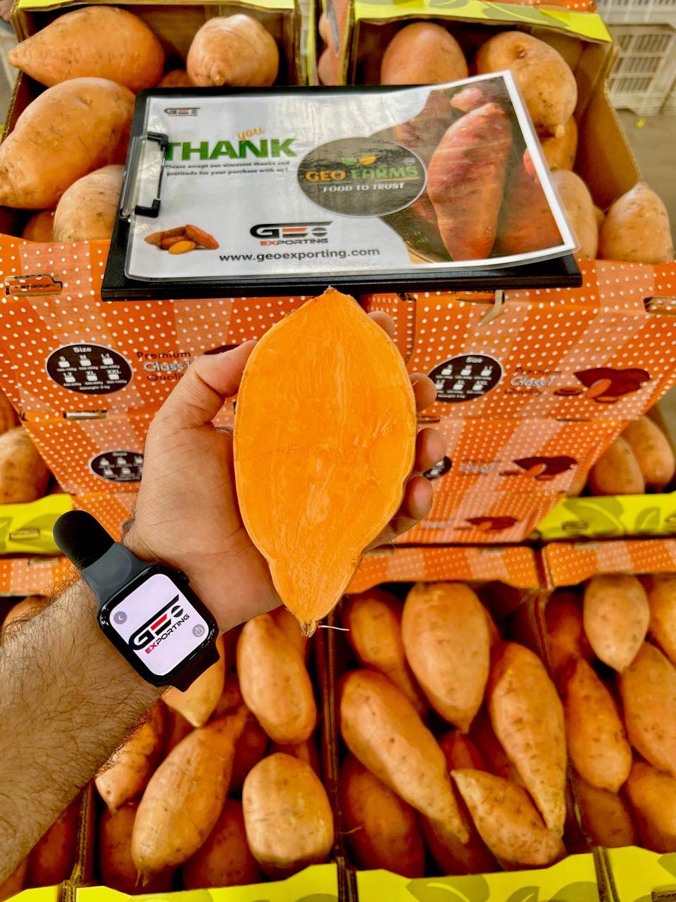 Bellevue Sweet Potatoes - Exported from Egypt