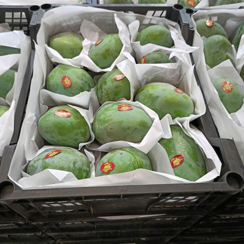 Egyptian-Keitt-and-Naomi-Mangoes