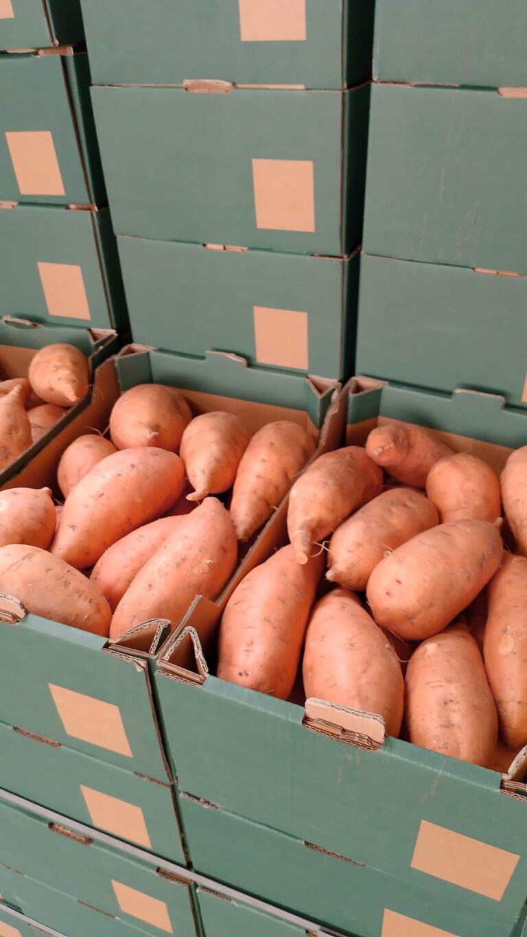 Egyptian Sweet potatoes