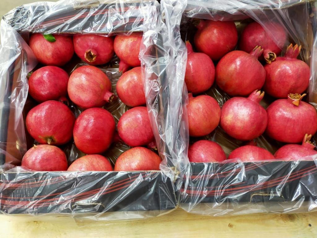 Pomegranate Packing Facility Egypt