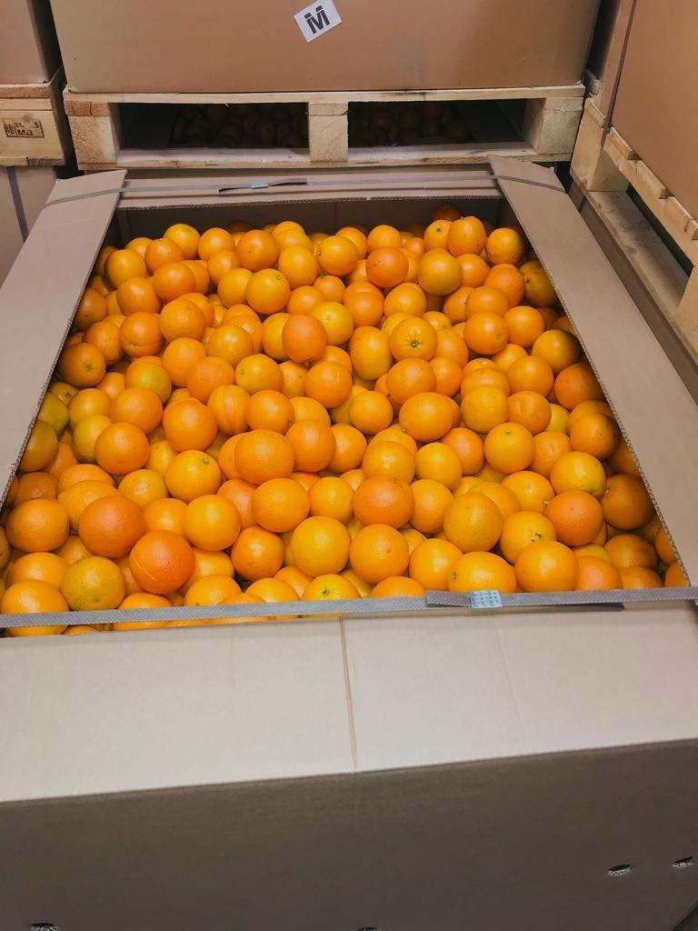 premium-egyptian-oranges-fresh