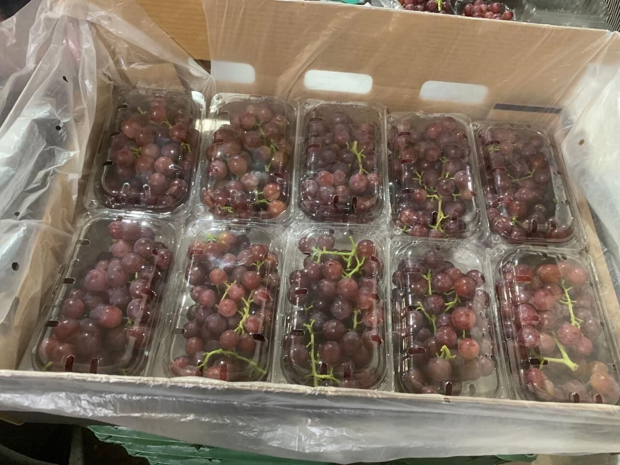 Blush Red Grapes - Egyptian Produce