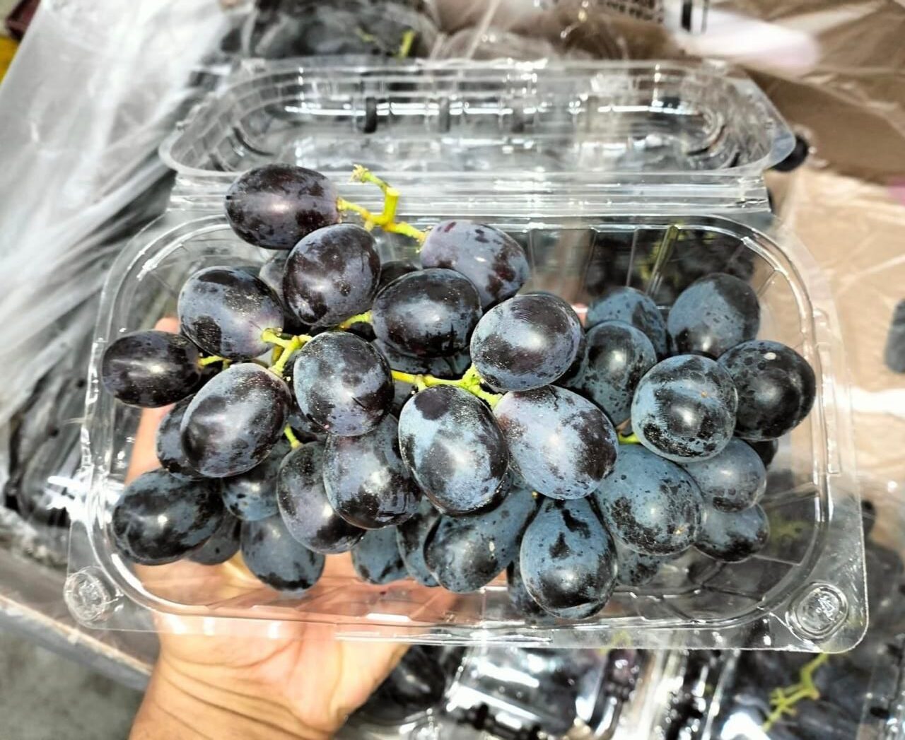 Crisp Egyptian Grapes - Ready to Eat