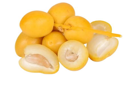 Egyptian Barhi Dates