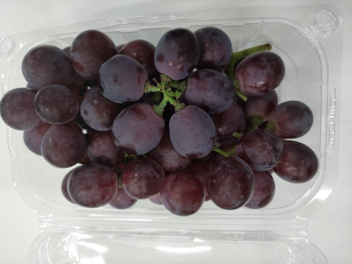 Egyptian Grapes - Perfect for Export