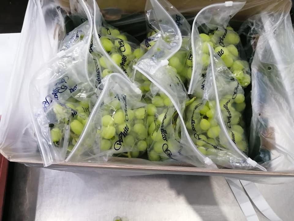 Egyptian Grapes - The Taste of Freshness