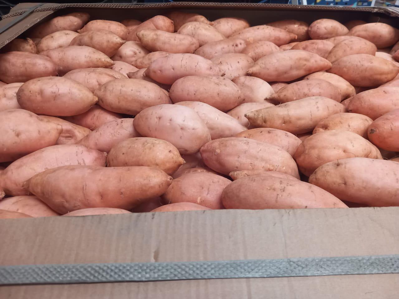 Egyptian Sweet potatoes Bins