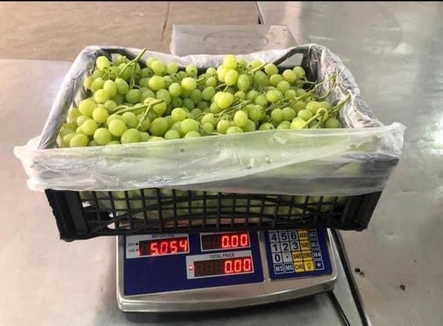 Fresh from Egypt - Sweet Grapes