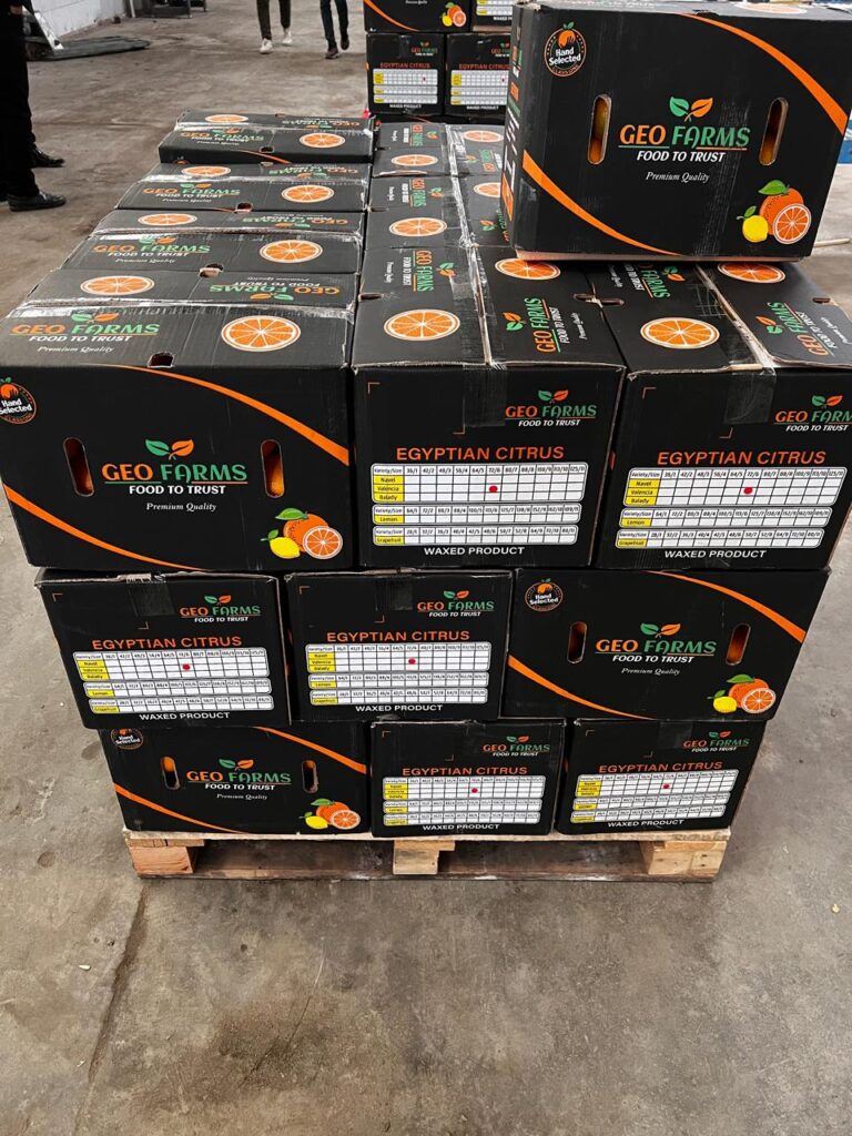 premium-egyptian-oranges-fresh