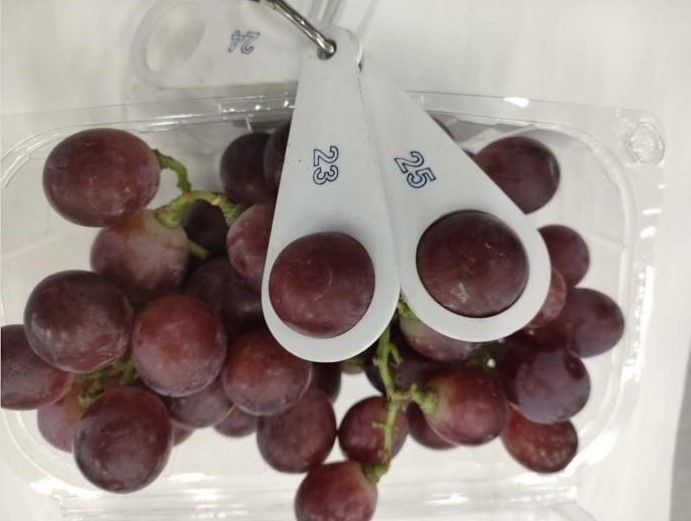 Grapes - Large and Crunchy