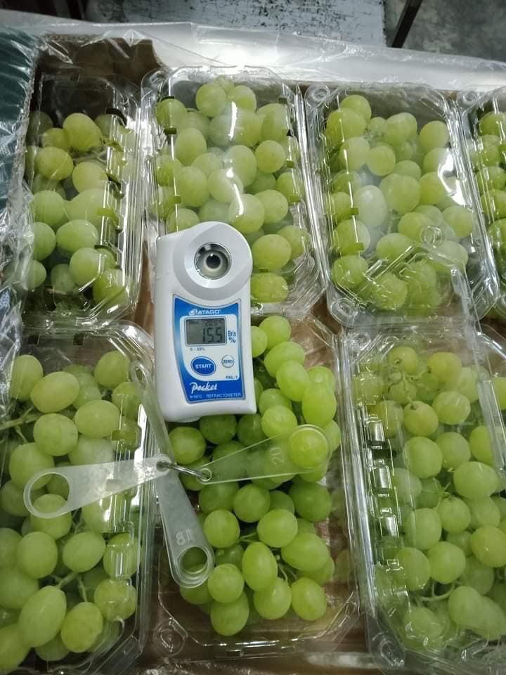 Seedless Grapes - Juicy and Tender