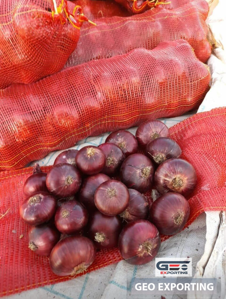 egyptian-red-onion-exporting