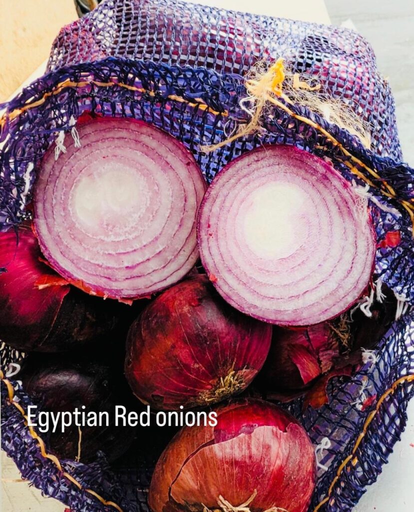 premium-red-onion-egypt