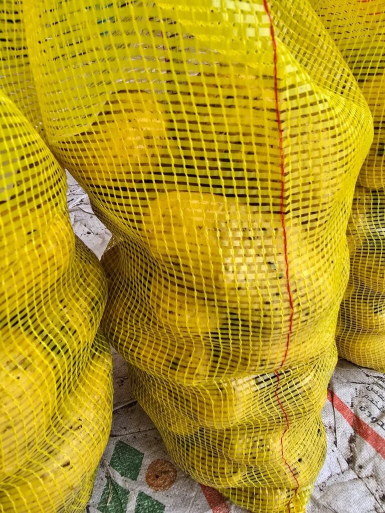 Yellow Mesh bags