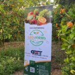 GEO EXPORTING ORANGE FARM 2025