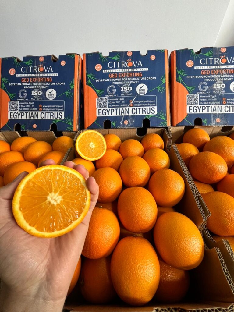 valencia-orange-packaging-egypt