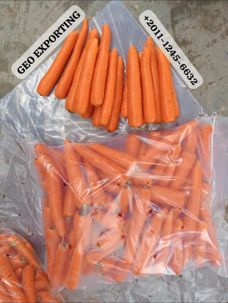 polished-carrots-european-standards